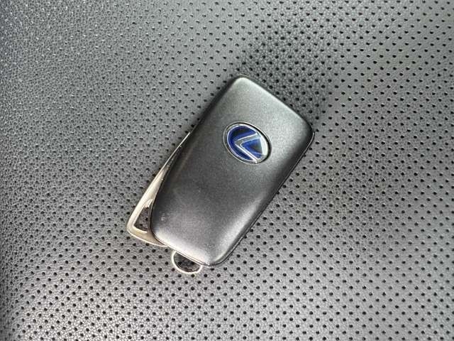 TOYOTA LEXUS NX300h 2020