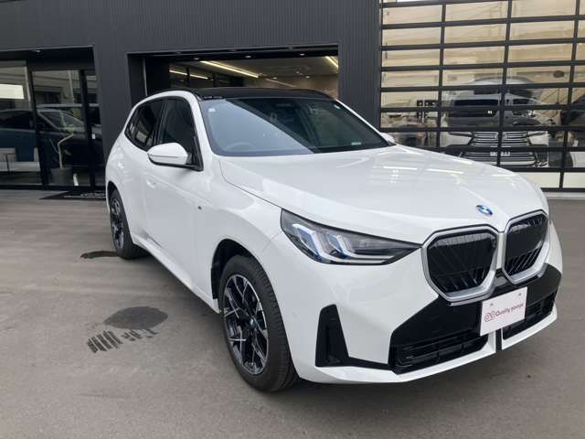 BMW BMW X3 2024