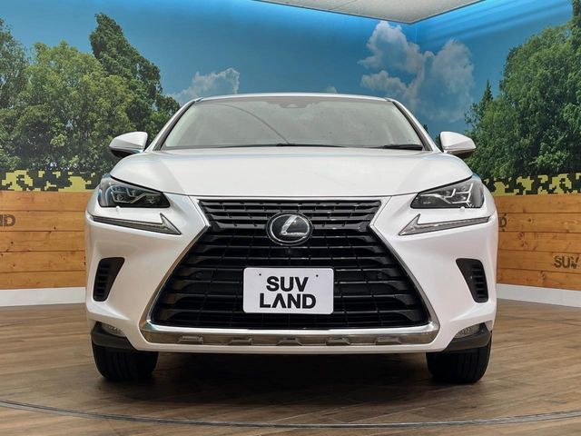 TOYOTA LEXUS NX300 AWD 2019