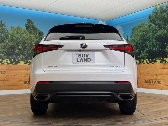 TOYOTA LEXUS NX300 AWD 2019