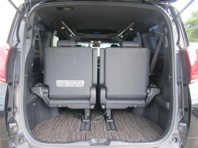 TOYOTA ALPHARD hybrid 4WD 2021