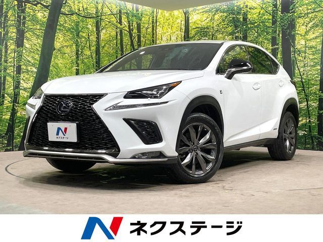 TOYOTA LEXUS NX300h 2020