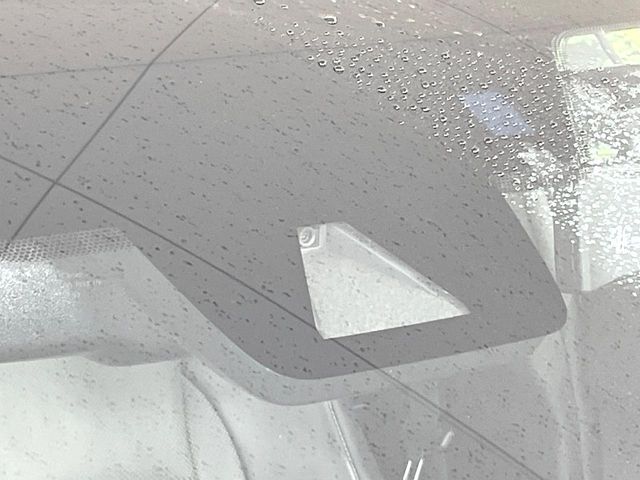 TOYOTA LEXUS NX300h 2020