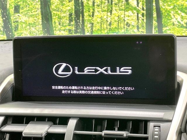 TOYOTA LEXUS NX300h 2020
