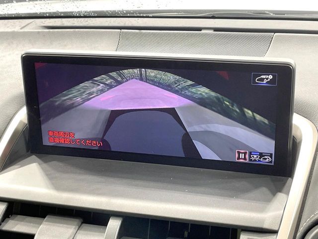 TOYOTA LEXUS NX300h 2020