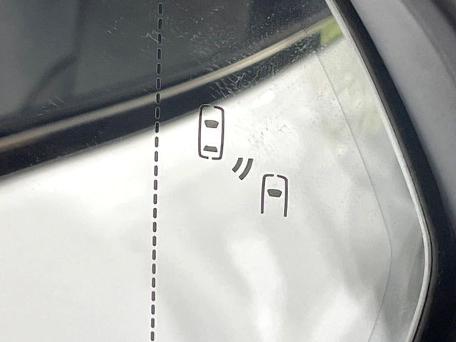 TOYOTA LEXUS NX300h 2020