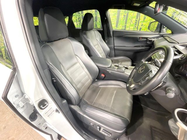 TOYOTA LEXUS NX300h 2020