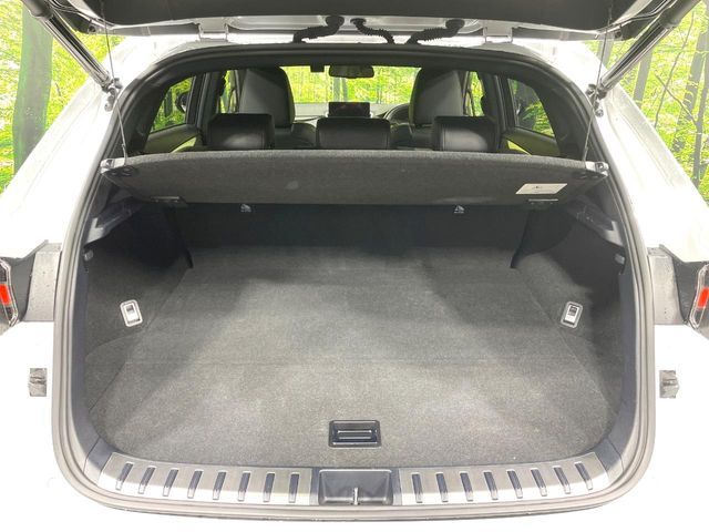 TOYOTA LEXUS NX300h 2020