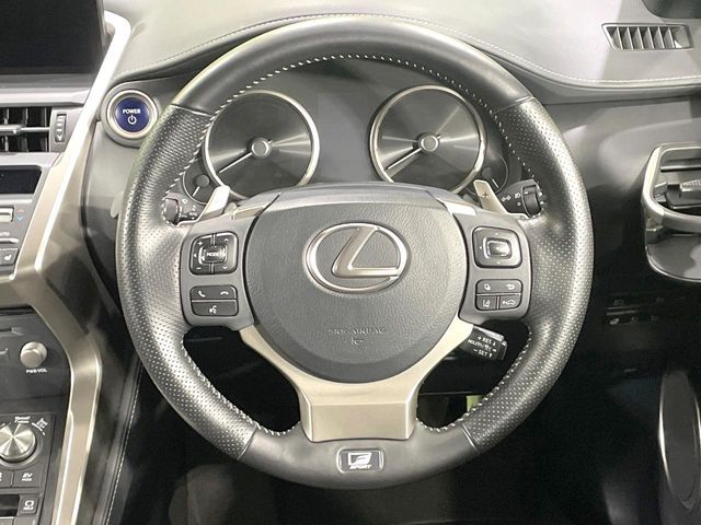 TOYOTA LEXUS NX300h 2020