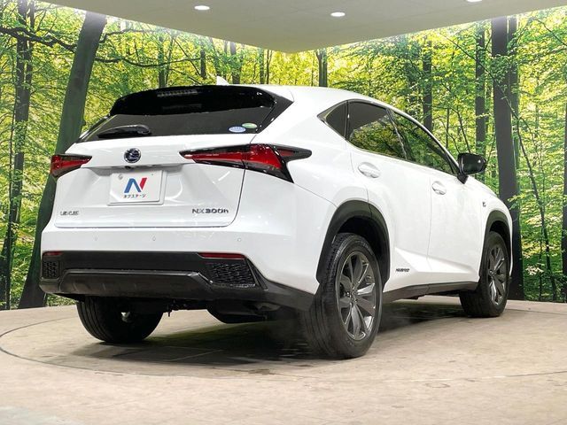 TOYOTA LEXUS NX300h 2020