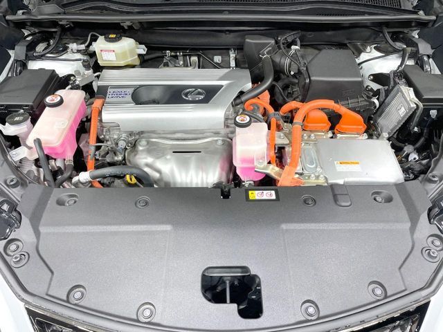 TOYOTA LEXUS NX300h 2020