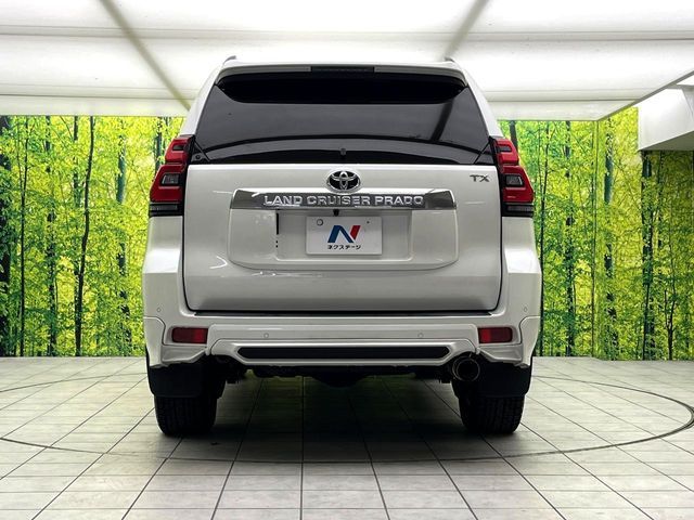 TOYOTA LANDCRUISER PRADO 2019