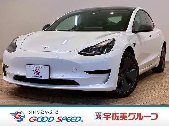 TESLA TESLA MODEL 3 2021