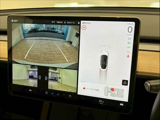 TESLA TESLA MODEL 3 2021