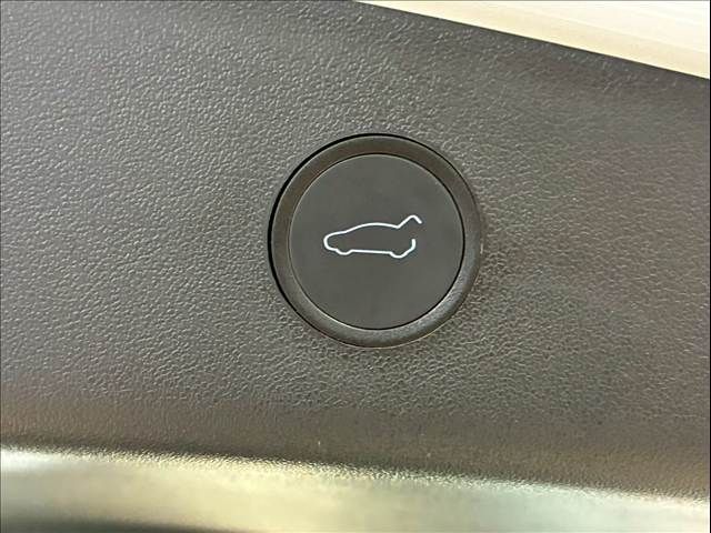 TESLA TESLA MODEL 3 2021