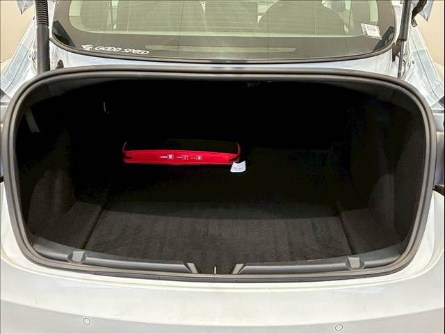 TESLA TESLA MODEL 3 2021