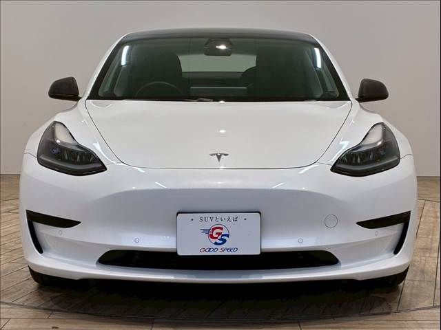 TESLA TESLA MODEL 3 2021