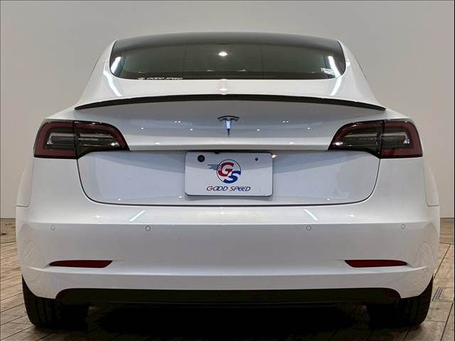 TESLA TESLA MODEL 3 2021