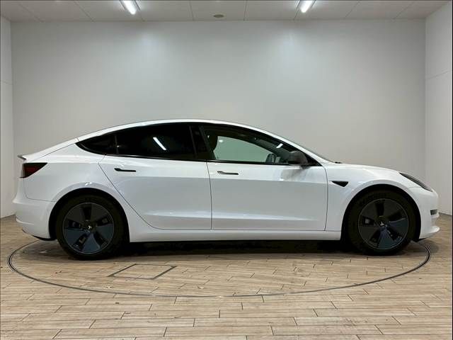 TESLA TESLA MODEL 3 2021