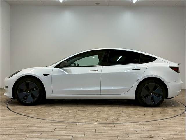 TESLA TESLA MODEL 3 2021