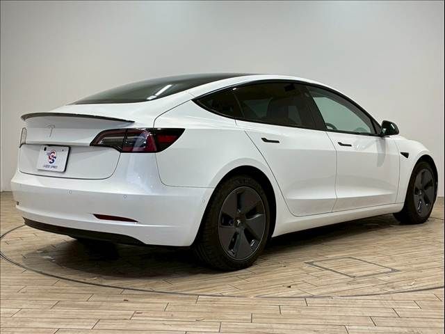TESLA TESLA MODEL 3 2021
