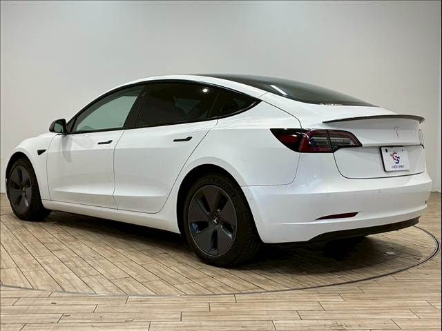 TESLA TESLA MODEL 3 2021