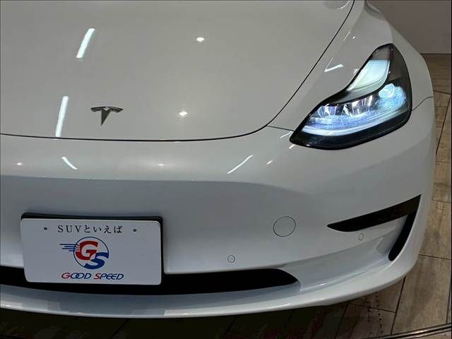 TESLA TESLA MODEL 3 2021