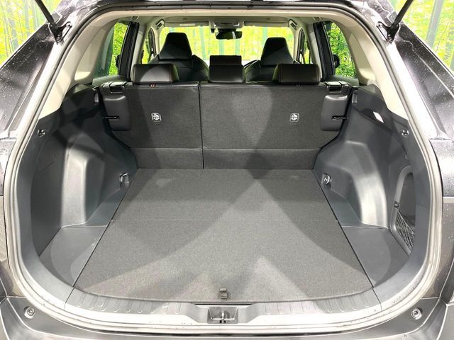 TOYOTA RAV4 HYBRID 4WD 2024