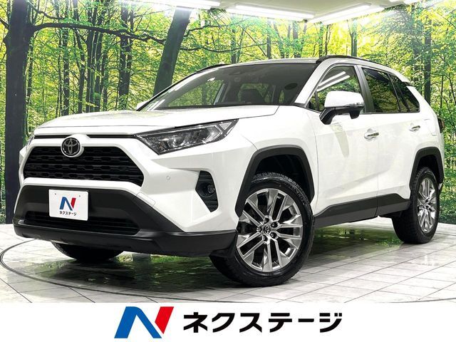 TOYOTA RAV4 4WD 2019