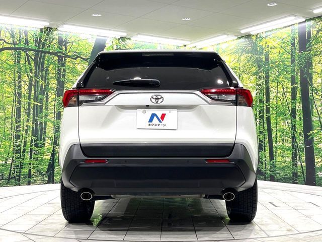 TOYOTA RAV4 4WD 2019