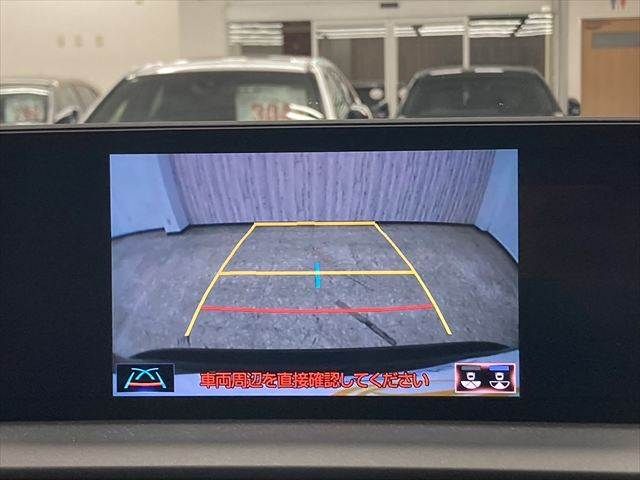 TOYOTA LEXUS NX300h 2018