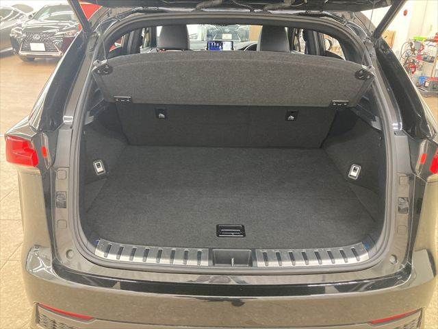 TOYOTA LEXUS NX300h 2018