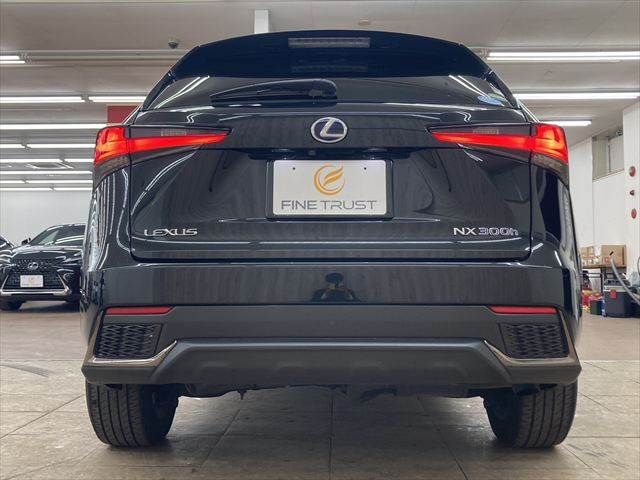 TOYOTA LEXUS NX300h 2018