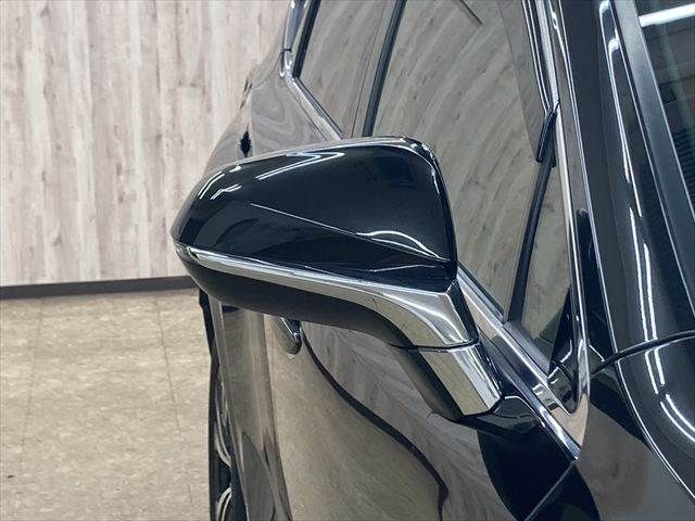 TOYOTA LEXUS NX300h 2018