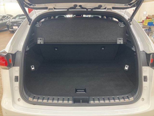 TOYOTA LEXUS NX300h 2018