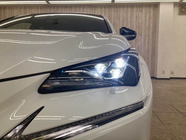 TOYOTA LEXUS NX300h 2018