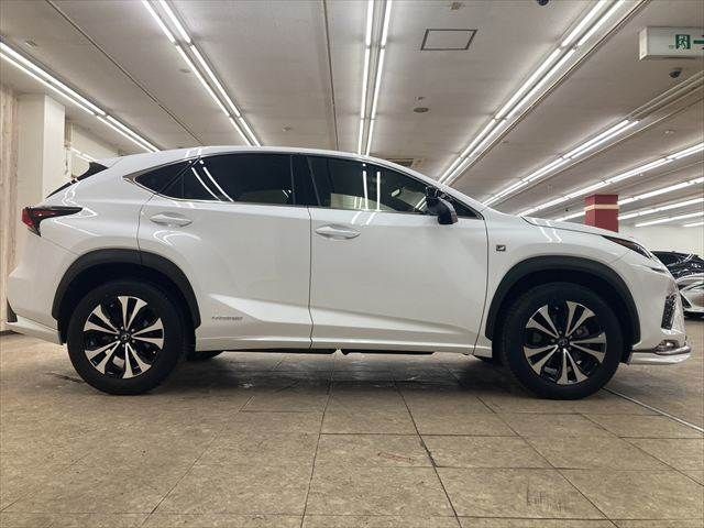 TOYOTA LEXUS NX300h 2018