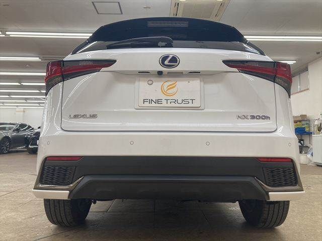 TOYOTA LEXUS NX300h 2018