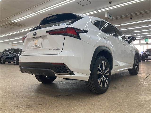 TOYOTA LEXUS NX300h 2018