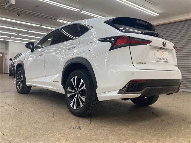 TOYOTA LEXUS NX300h 2018
