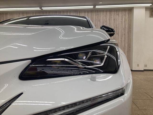 TOYOTA LEXUS NX300h 2018