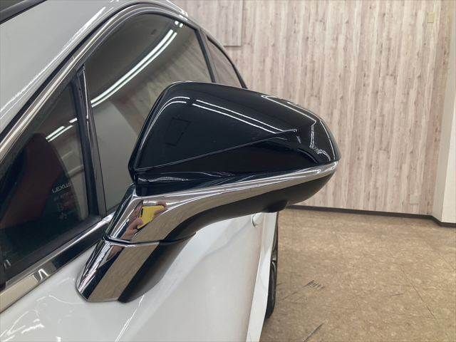 TOYOTA LEXUS NX300h 2018