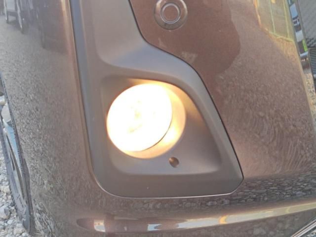 NISSAN DAYZ ROOX 2019