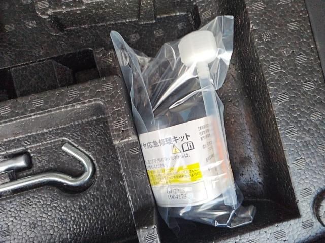 NISSAN DAYZ ROOX 2019