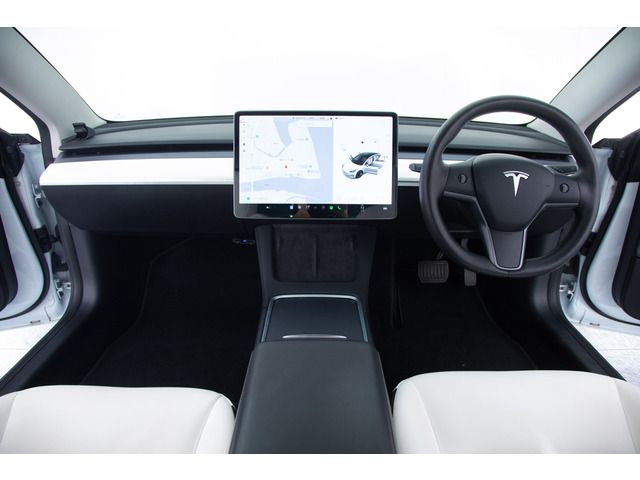 TESLA TESLA MODEL 3 2021