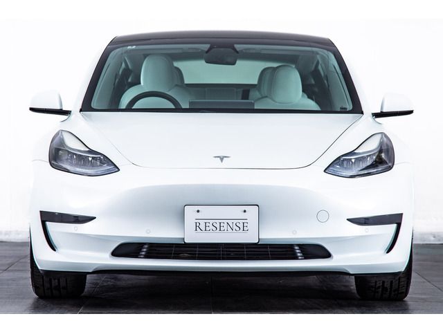 TESLA TESLA MODEL 3 2021