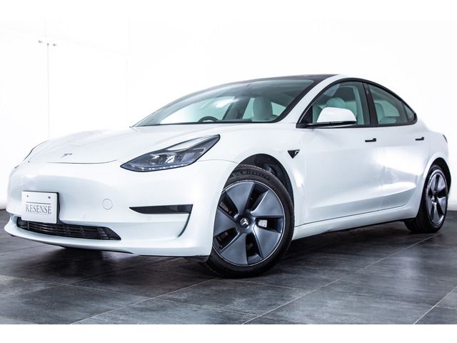 TESLA TESLA MODEL 3 2021