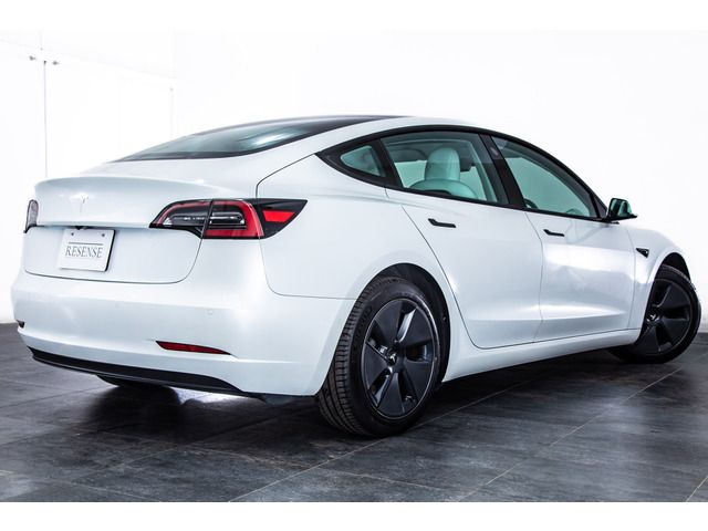 TESLA TESLA MODEL 3 2021