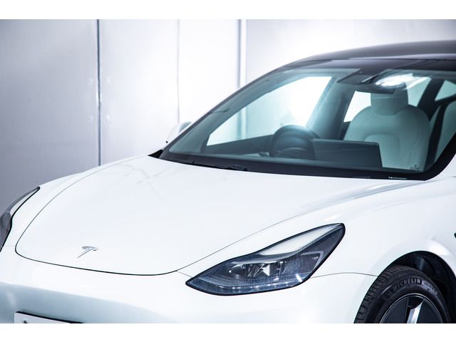 TESLA TESLA MODEL 3 2021