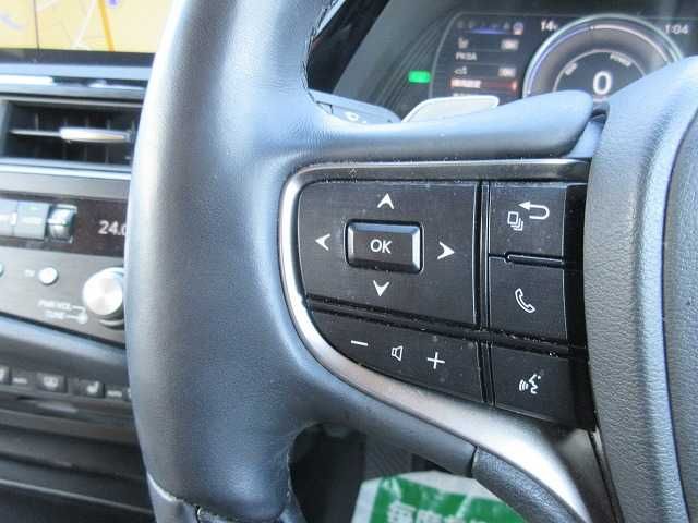 TOYOTA LEXUS ES300h 2021